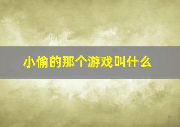 小偷的那个游戏叫什么