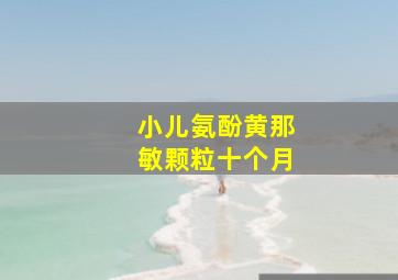 小儿氨酚黄那敏颗粒十个月