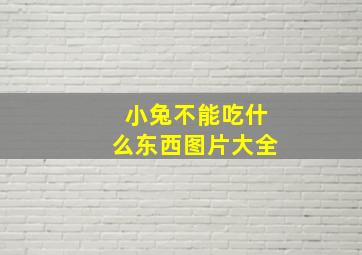 小兔不能吃什么东西图片大全