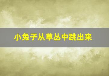 小兔子从草丛中跳出来