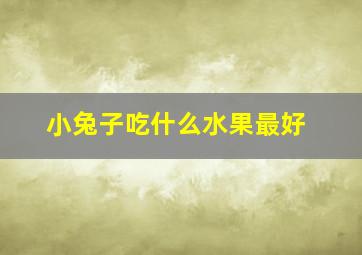 小兔子吃什么水果最好