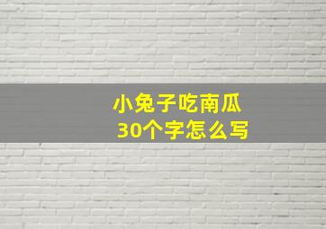 小兔子吃南瓜30个字怎么写