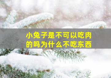 小兔子是不可以吃肉的吗为什么不吃东西