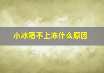 小冰箱不上冻什么原因