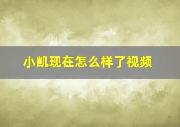 小凯现在怎么样了视频