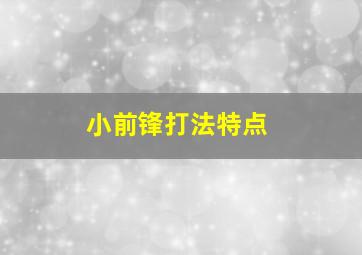 小前锋打法特点