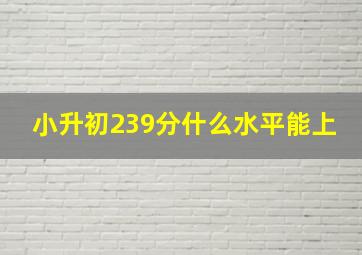 小升初239分什么水平能上