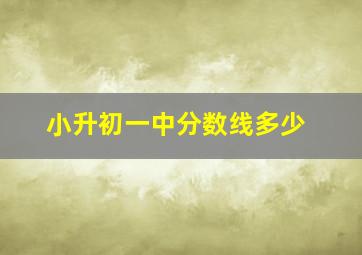 小升初一中分数线多少