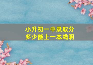 小升初一中录取分多少能上一本线啊