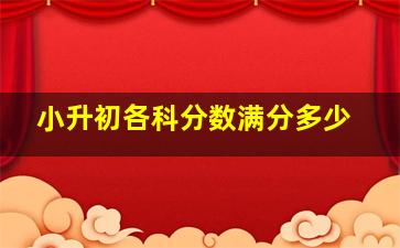 小升初各科分数满分多少