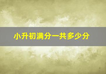 小升初满分一共多少分