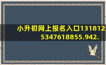 小升初网上报名入口1318125347618855.942.41274659