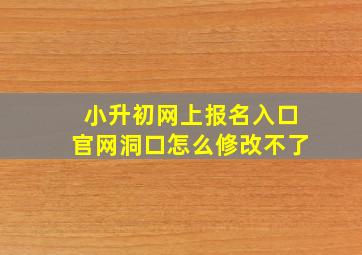 小升初网上报名入口官网洞口怎么修改不了