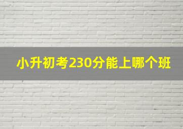 小升初考230分能上哪个班