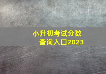 小升初考试分数查询入口2023