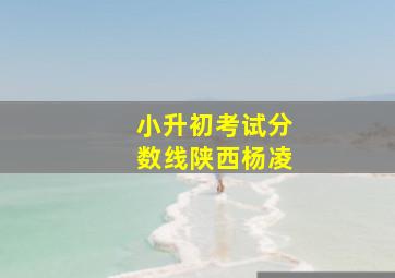 小升初考试分数线陕西杨凌