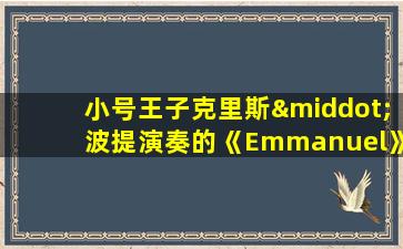 小号王子克里斯·波提演奏的《Emmanuel》