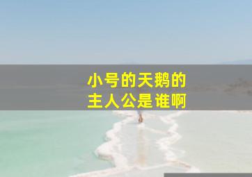 小号的天鹅的主人公是谁啊