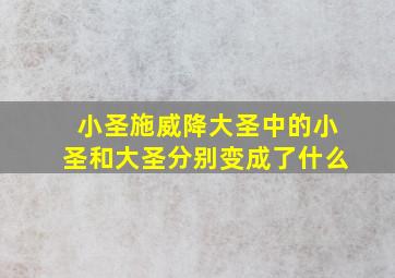 小圣施威降大圣中的小圣和大圣分别变成了什么