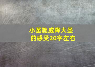 小圣施威降大圣的感受20字左右