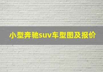 小型奔驰suv车型图及报价