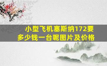 小型飞机塞斯纳172要多少钱一台呢图片及价格