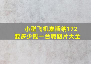 小型飞机塞斯纳172要多少钱一台呢图片大全