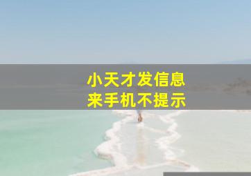 小天才发信息来手机不提示