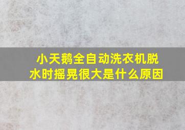 小天鹅全自动洗衣机脱水时摇晃很大是什么原因