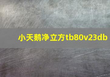 小天鹅净立方tb80v23db