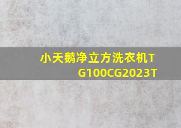 小天鹅净立方洗衣机TG100CG2023T