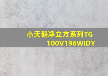 小天鹅净立方系列TG100V196WIDY