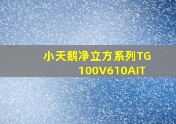 小天鹅净立方系列TG100V610AIT