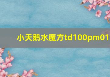 小天鹅水魔方td100pm01t