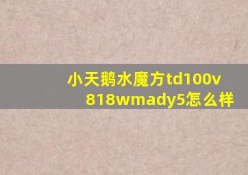 小天鹅水魔方td100v818wmady5怎么样