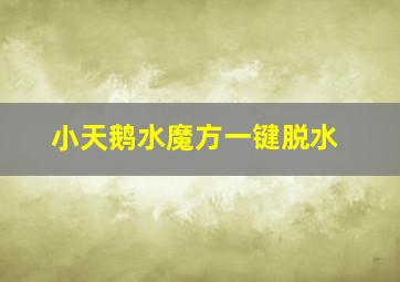 小天鹅水魔方一键脱水