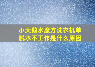 小天鹅水魔方洗衣机单脱水不工作是什么原因