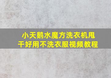 小天鹅水魔方洗衣机甩干好用不洗衣服视频教程