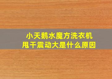 小天鹅水魔方洗衣机甩干震动大是什么原因