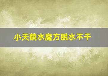 小天鹅水魔方脱水不干