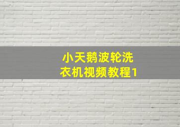 小天鹅波轮洗衣机视频教程1