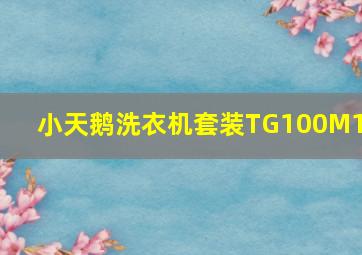 小天鹅洗衣机套装TG100M11