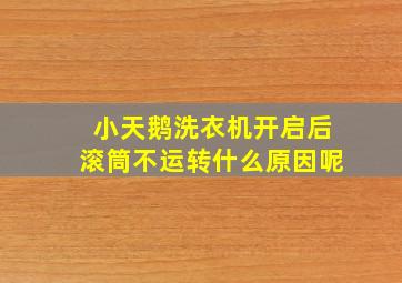 小天鹅洗衣机开启后滚筒不运转什么原因呢