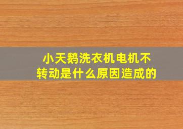 小天鹅洗衣机电机不转动是什么原因造成的