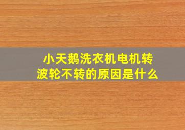 小天鹅洗衣机电机转波轮不转的原因是什么