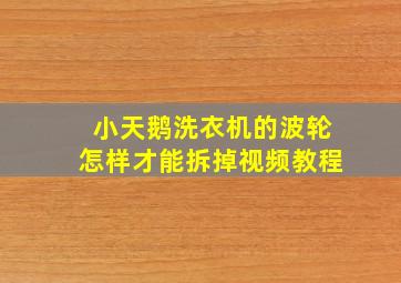 小天鹅洗衣机的波轮怎样才能拆掉视频教程