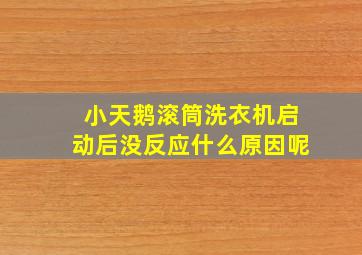 小天鹅滚筒洗衣机启动后没反应什么原因呢