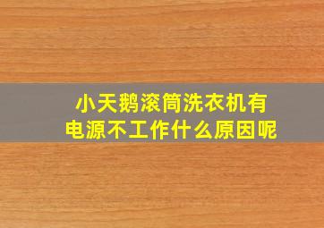 小天鹅滚筒洗衣机有电源不工作什么原因呢