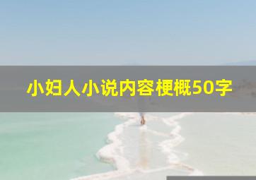 小妇人小说内容梗概50字