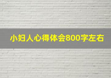 小妇人心得体会800字左右